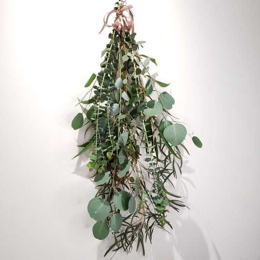 Eucalyptus Shower Spray