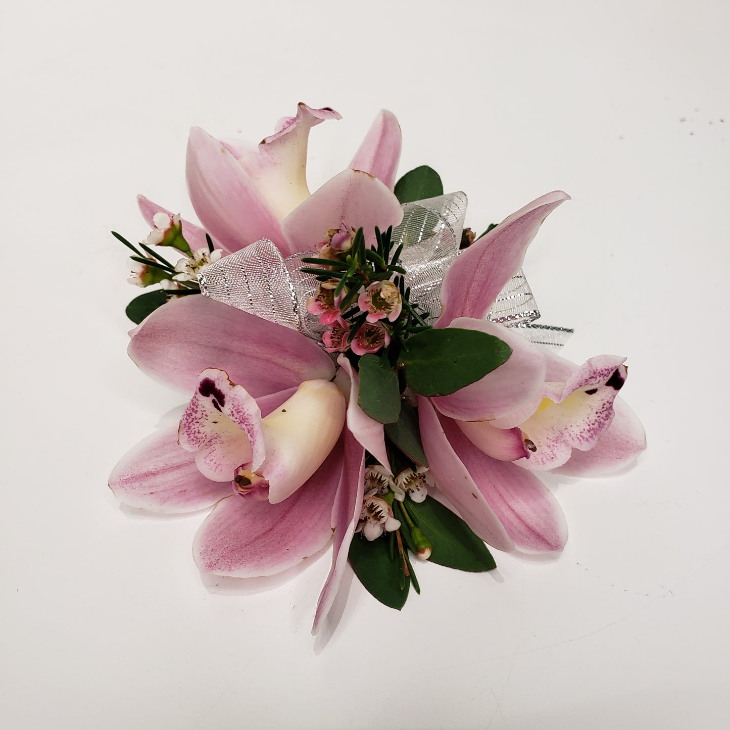 Mini-Cymbidium Orchids