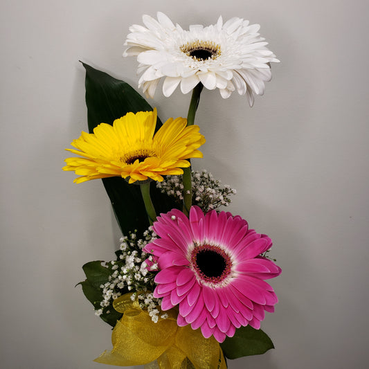 Day Dream Gerbera Vase