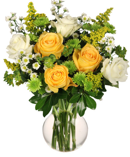 White & Yellow Roses