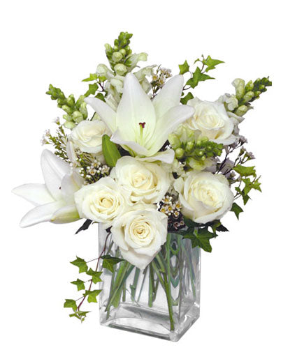 Wonderful White