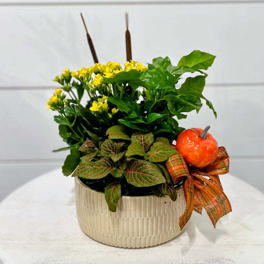 Autumn Planter